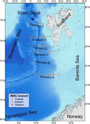 Summer Mesozooplankton Biomass Distribution in the West Spitsbergen Current (2001–2014)